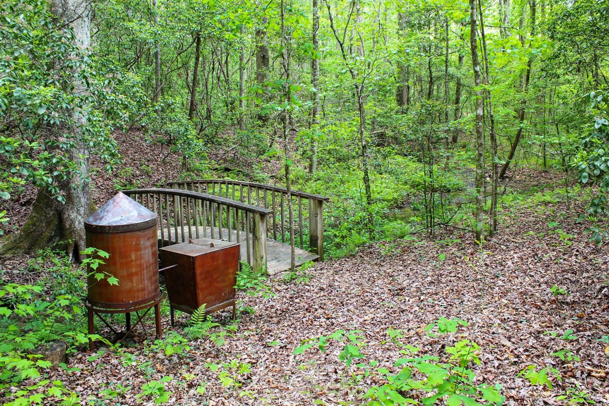 Sautee Nacoochee Mtn Paradise With Spacious Deck! Ngoại thất bức ảnh